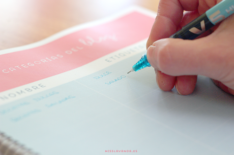 Freebies: blogger planner bien completo para descargar Freebies: blogger planner bien completo para descargar