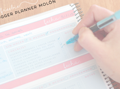 Freebies: blogger planner bien completo para descargar