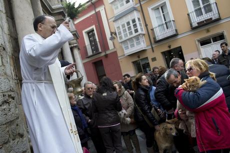 2. Bendiciendo mascotas el día de la Fiesta