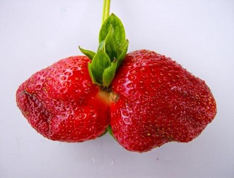 LAS RAREZA DE MI HUERTO (1)