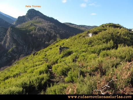 Ruta Tromeu y Braña Rebellón: Sendero hacia el bosque de hayas