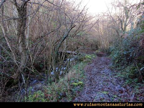 Ruta Tromeu y Braña Rebellón: Puente sobre el río