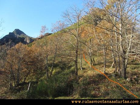 Ruta Tromeu y Braña Rebellón: Desvío en el Cantu La Era