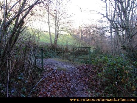 Ruta Tromeu y Braña Rebellón: Puente sobre el río