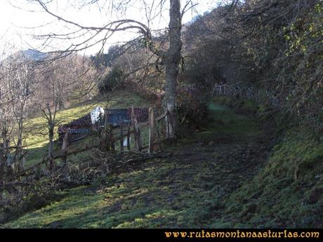Ruta Tromeu y Braña Rebellón: Desvió en el Rebellón