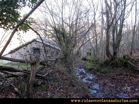 Ruta Tromeu y Braña Rebellón: Cabaña y camino embarrado