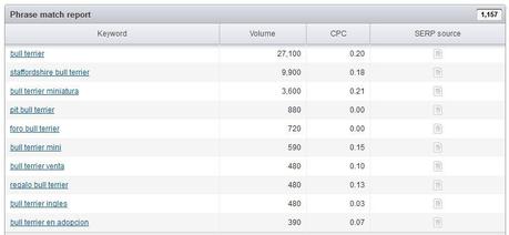 Palabras Claves en Google
