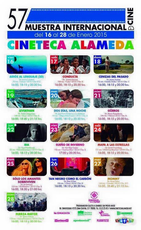 Muestra Internacional de Cine