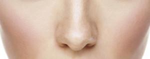 nariz