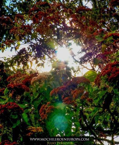 Ruta  Los Fortines del Ávila al atardecer