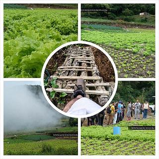Ruta Los Fortines del Ávila al Atardecer