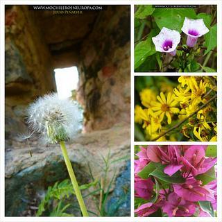 Ruta Los Fortines del Ávila al Atardecer