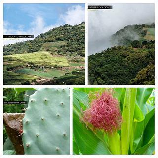 Ruta Los Fortines del Ávila al Atardecer