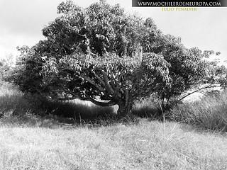 Ruta  Los Fortines del Ávila al atardecer