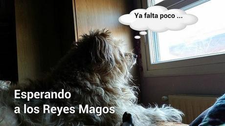 Estamos tan Agustito LXXVI... Falta pocoooo estamos tan agustito