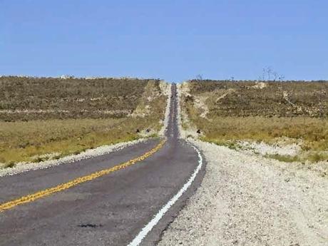 Cuento | Casi un palo verde