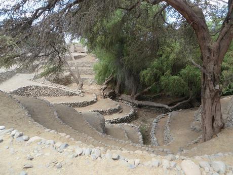 Nazca: Cahuachi y sus alrededores