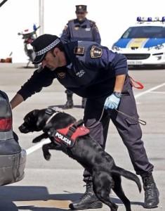 Registro policial con perros sin orden judicial