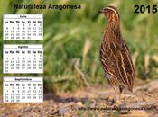 Calendario 2015 Tercer trimestre