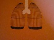 Biblioteca Venta (24):