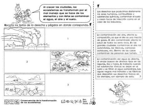 Consecuencias de la transformación de los ecosistemas: 5to grado Consecuencias de la transformación de los ecosistemas
