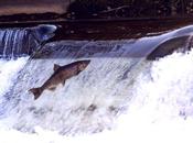 comprensión misión, entrevista Víctor Her...