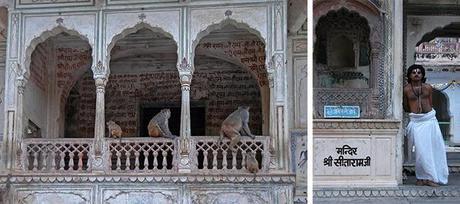 Galta, zona de templos en las afueras de Jaipur