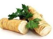 Rábano picante. Remedios ayurvedicos para Vata