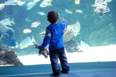 Conciencia medioambiental