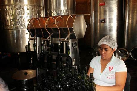 El valle de Neiba apuesta a sus uvas, vinos y mermeladas.