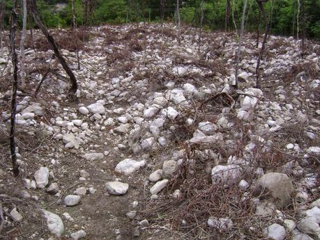 El valle de Neiba apuesta a sus uvas, vinos y mermeladas.