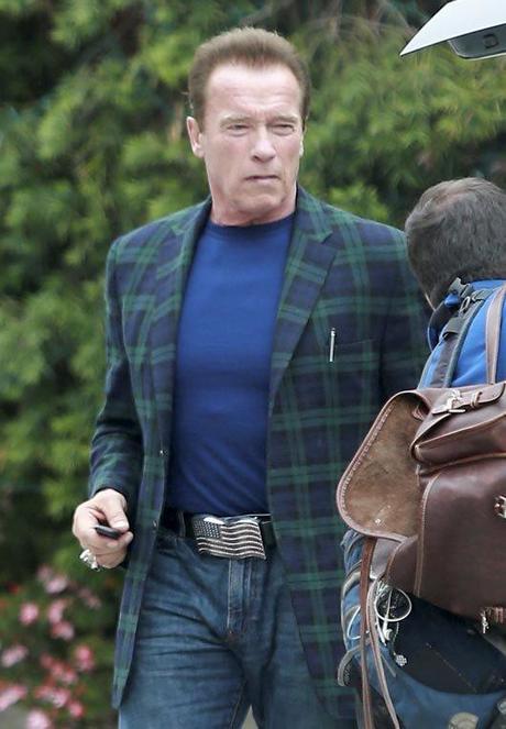 Arnold Schwarzenegger aprueba la relación de su hijo con Miley Cyrus Arnold Schwarzenegger