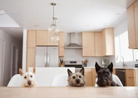 antes-despues-cocina-escandinava-before-after-kitchen-scandinavian-style