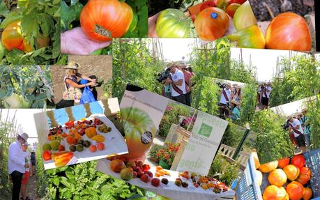 TOMATÓN RELLENO Y JORNADA DEL TOMATE HUEVO DE TORO