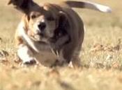 situaciones vivirás estos días oficina