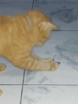 When you think you´ve GOT the idea…and then…nop