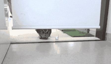 13 situaciones que vivirás estos días en tu oficina