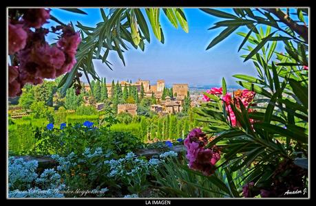 La ALHAMBRA de GRANADA: GENERALIFE