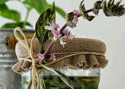 Prepara tu Jarabe de Tomillo en casa