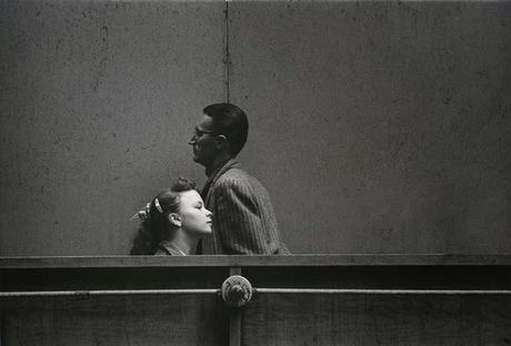 FOTÓGRAFOS: HARRY CALLAHAN