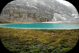 RESEÑA: BRIGH (ESPÍRITU), CAROLINA LOZANO.