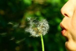 Actividades para estimular ‘el soplo’ en bebés y niños soplo_diente_leon