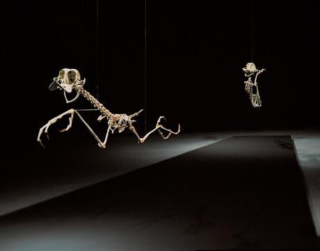 anatomía, Animatus, art toy, Hyungkoo Lee, toy design