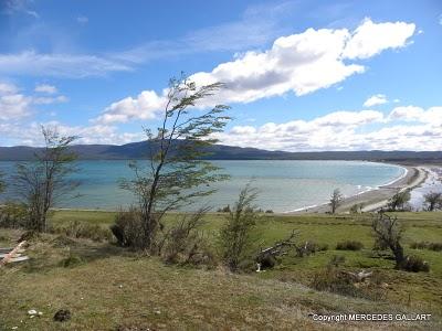 ARGENTINA: USHUAIA, EN  TIERRA DE FUEGUINOS