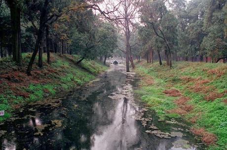 CHINA: EL BOSQUE SAGRADO DE CONFUCIO