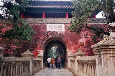 CHINA: EL BOSQUE SAGRADO DE CONFUCIO