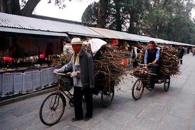 CHINA: EL BOSQUE SAGRADO DE CONFUCIO