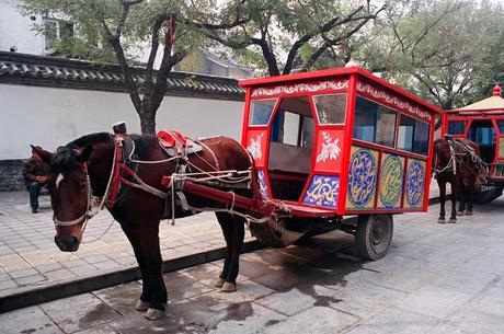 CHINA: EL BOSQUE SAGRADO DE CONFUCIO