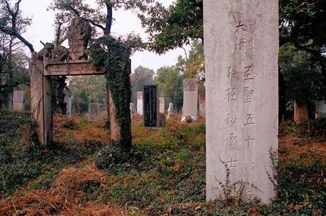 CHINA: EL BOSQUE SAGRADO DE CONFUCIO