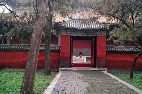 CHINA: EL BOSQUE SAGRADO DE CONFUCIO